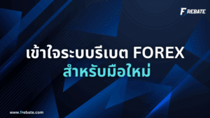 รีเบต Forex สำหรับมือใหม่